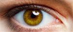 eye 